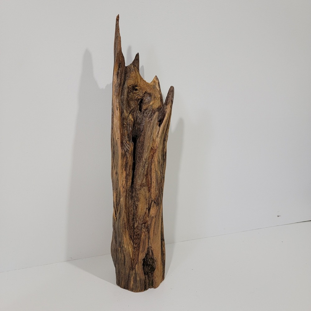 Natural Weathered Driftwood Sculpture Air Plant Holder Terrarium Decor Log
